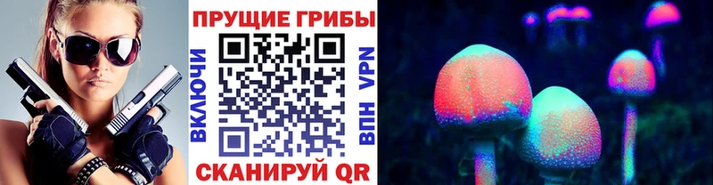 Купить  Гороховец  Псилоцибиновые грибы Psilocybe 